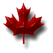 Image of a maple leaf